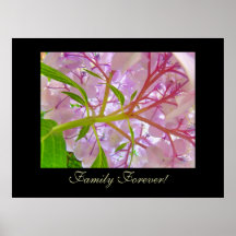 Family Forever! art prints Pink Hydrangea Flowers
