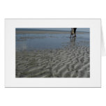 Family Fun at the Beach Greeting Cards