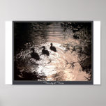 Family of Three posters
