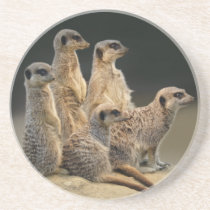 Family Portrait Coaster