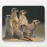 Family Portrait Mousemat