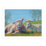 Family Portrait Postcard