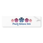 Family Reunion 2010 bumper stickers
