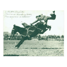 Famous Bucking Bronc Five Minutes Postcard