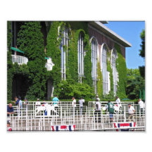Famous Vines at Belmont Park Art Photo