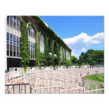 Famous Vines at Belmont Park Photo