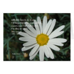 Famous Words: Daisy - White Daisy Card Series (3)