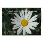 Famous Words: Poetry - White Daisy Card Series (2)