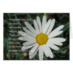 Famous Words: Song - White Daisy Card Series (6)
