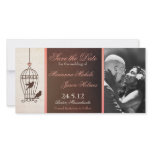 Fanciful Birdcage Chocolate & Pink Save the Date