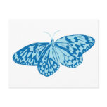 Fancy Blue Butterfly Post Cards