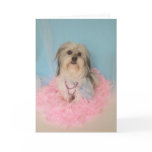 Fancy Dog Birthday Card