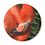 Fancy  Flamingo Magnet