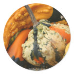 Fancy Gourds Nature Photo Sticker Label