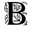 Fancy Letter B t-shirts