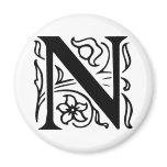 Fancy Letter N magnets