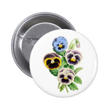 Fancy Pansies Vintage Illustration Pinback Buttons