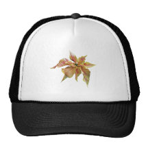 Fancy Pink and Yellow Poinsettia Trucker Hats