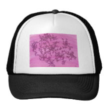 Fancy Pinks Mesh Hat