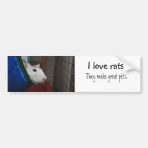 Fancy rat bildekal