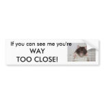 Fancy Rat Bumper Sticker bumper stickers
