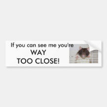 Fancy Rat Bumper Sticker