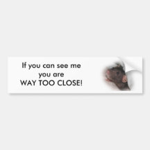 Fancy Rat Way Too Close Bumper Sticker
