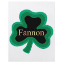 Fannon Family flyers
