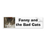 fanny and the bad cats, Fanny and the Bad Cats bumper stickers
