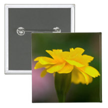 fantasies in yellow pinback buttons