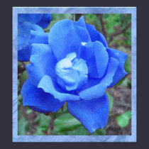 Fantasy Blue Rose Digital Print Wall Art photography