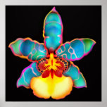 Fantasy Coloured Orchid Flower Poster posters