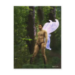 Fantasy Fairy in the Woods 3 postcards