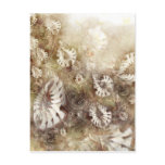 Fantasy flowers postcard