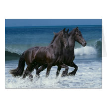 Fantasy Horses: Friesians & Sea Greeting Card