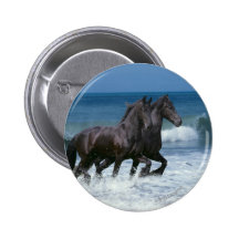 Fantasy Horses: Friesians & Sea Pinback Button
