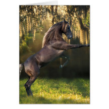 Fantasy Horses: Warrior Prince Card