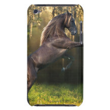Fantasy Horses: Warrior Prince Case-Mate iPod Touch Case