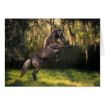 Fantasy Horses: Warrior Prince Greeting Cards