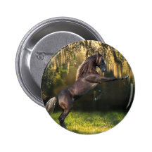 Fantasy Horses: Warrior Prince Pins