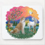Fantasy Land (ff) - Akita Inu
