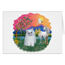 Fantasy Land (ff) - Persian kitten (white) Greeting Card
