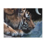 Fantasy Tiger & Moon Postcards
