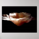 Fantasy tulip poster