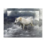 Fantasy White Horse & Ocean Surf Gifts Post Card