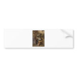 FAP308 bumper stickers