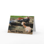 Farm Animal Friends Nature Photo Birthday Card