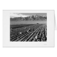 Farm, Farm Workers, Mt. Williamson 1943 Card