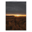 farm field cards
