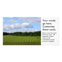 Farm field striped land farmer harvesting photo picture card